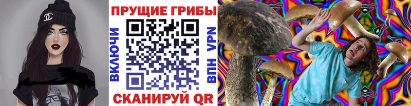 Псилоцибиновые грибы прущие грибы  Ядрин 